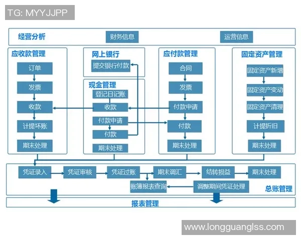 CFO与FNC的对比分析：财务管理与财务规划的战略性差异