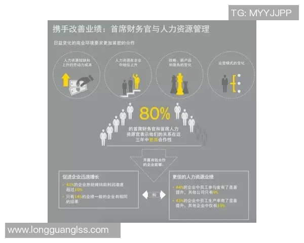 AL与CFO的角色对比与协作探讨如何提升企业财务管理效率